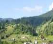 Cazare si Rezervari la Vila Bucovina din Ciocanesti Suceava Suceava